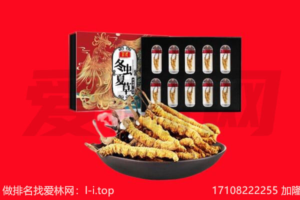 呼和浩特市和林格尔县回收虫草.jpg